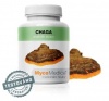 MycoMedica Chaga 90 cps.