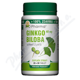 Ginkgo Biloba extrakt 40mg tbl.30+30 BIO-Pharma