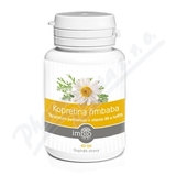 Imbio Kopretina imbaba+vit.B6 a hok tbl.40