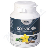 ADIEL Kotvink zemn FORTE s vitamnem E cps.90