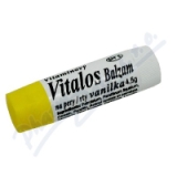 Balzm na rty vitamnov Vanilka 4.5g