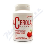 Acerola vitamin standardizovan prek 100g