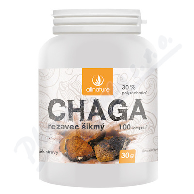 Allnature Chaga Rezavec ikm cps.100